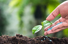 Fertilizery